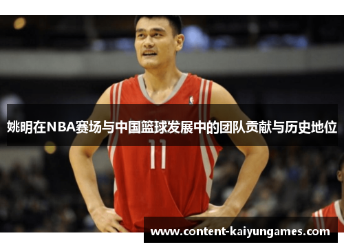 姚明在NBA赛场与中国篮球发展中的团队贡献与历史地位