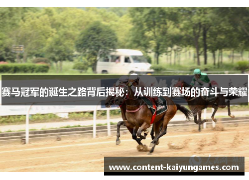 赛马冠军的诞生之路背后揭秘：从训练到赛场的奋斗与荣耀